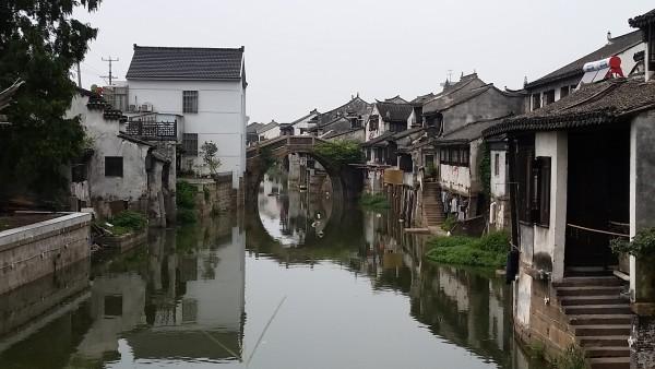重生之玫瑰豪门